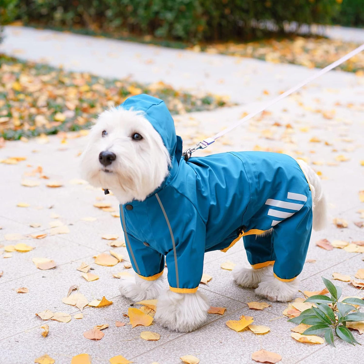 Dog Raincoat, Waterproof Dog Rain Jacket with Hood, Rain Coat with Leash Hole, Reflective Strap for Small Medium Dogs, O