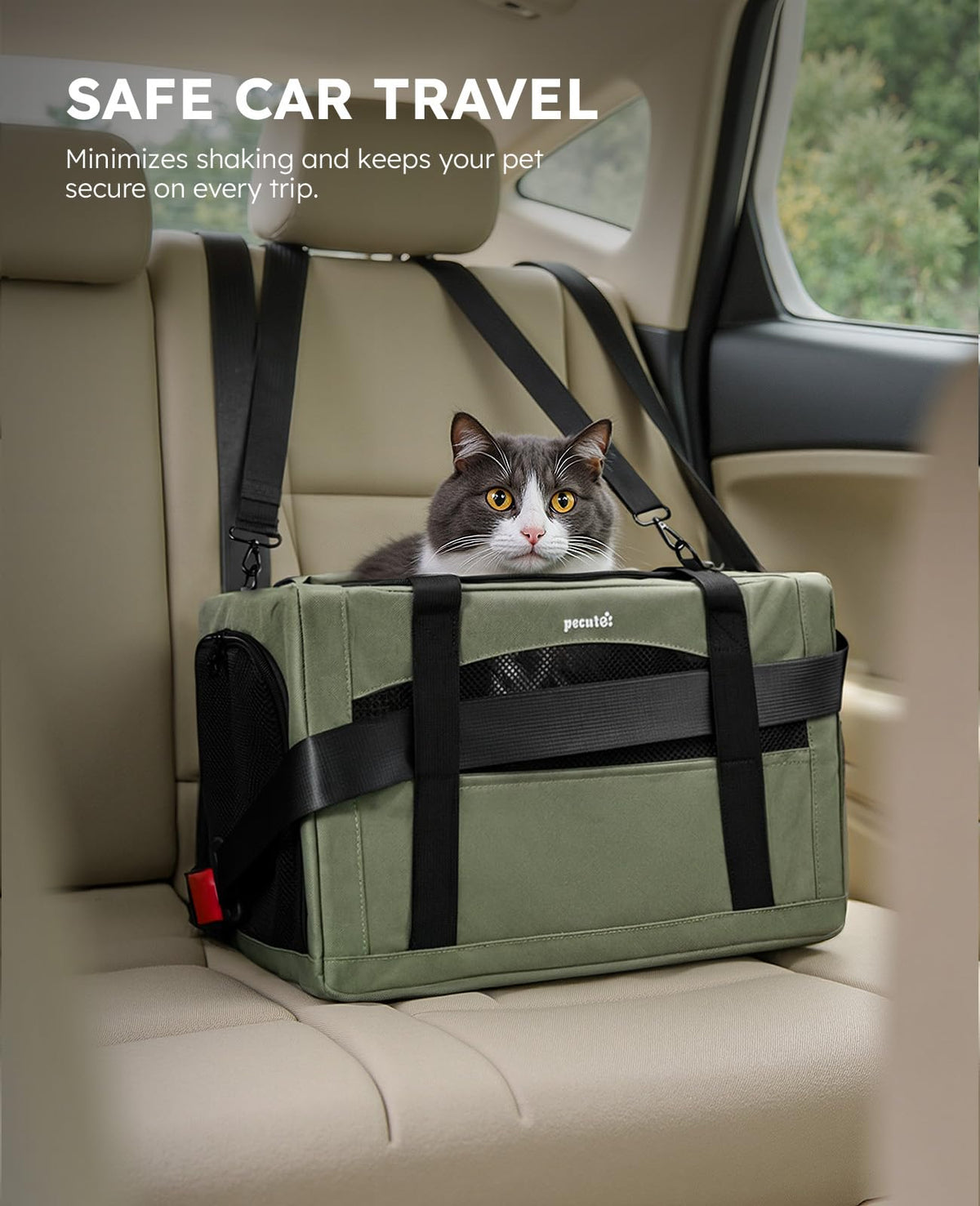 Pecute Cat Carrier Stable, Pet Carrier with Privacy Partition,Green