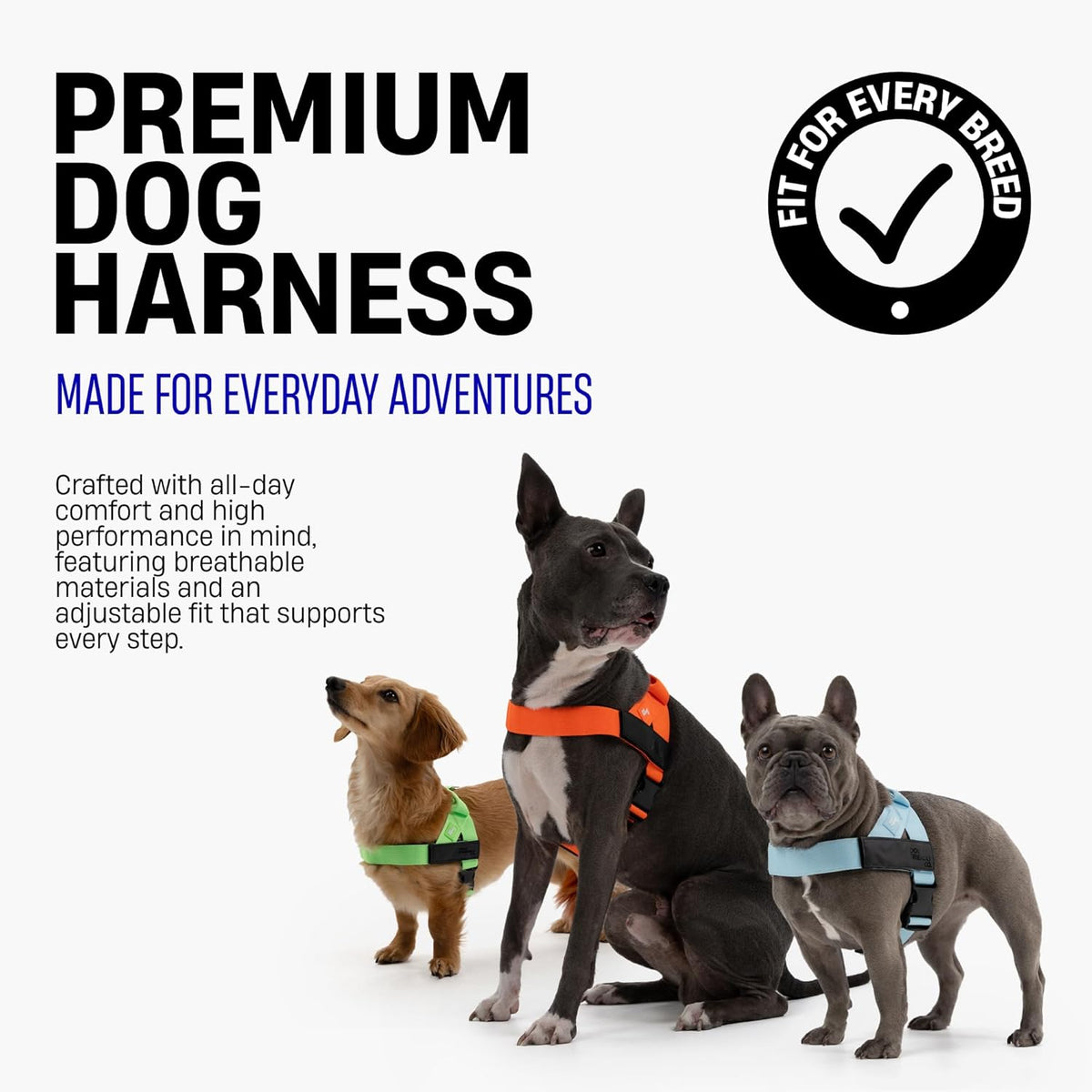 Dog Friendly Co. Dog Harness for Medium Sized Dogs (Pink, Medium)