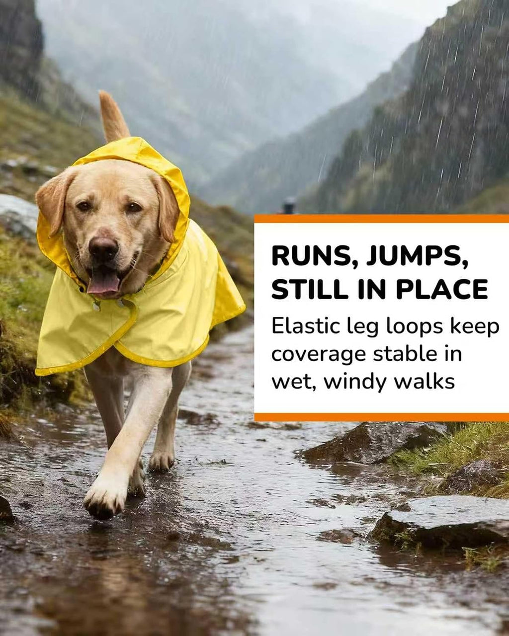 Waterproof Dog Raincoat with Hood, Extended Coverage Rain Jacket for Samll Dogs, Wind-Resistant Secure Fit with Leg Stra
