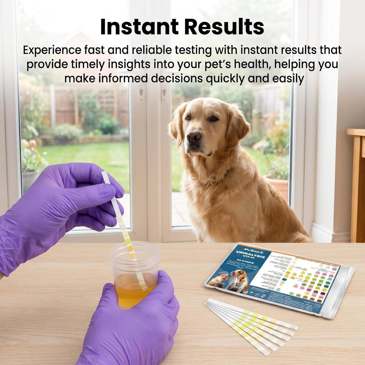 Dog UTI Test Strips for Dogs & Cats, 50 Count 10-in-1 Pet Urinalysis Test Kit, Fast Results Urine Strips for Ketone, Glu