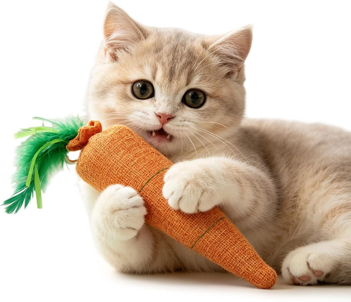 1Pack 12.8-Inch Carrot Cat Toy & Catnip Kicker Toy