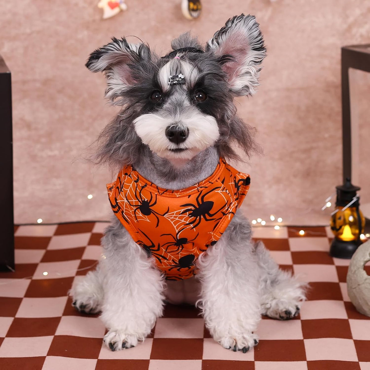 CuteBone Halloween Dog Shirts 2-Pack Soft Pet Clothes Breathable Summer Vest for Small Puppy and Stretchy Cat Apparel