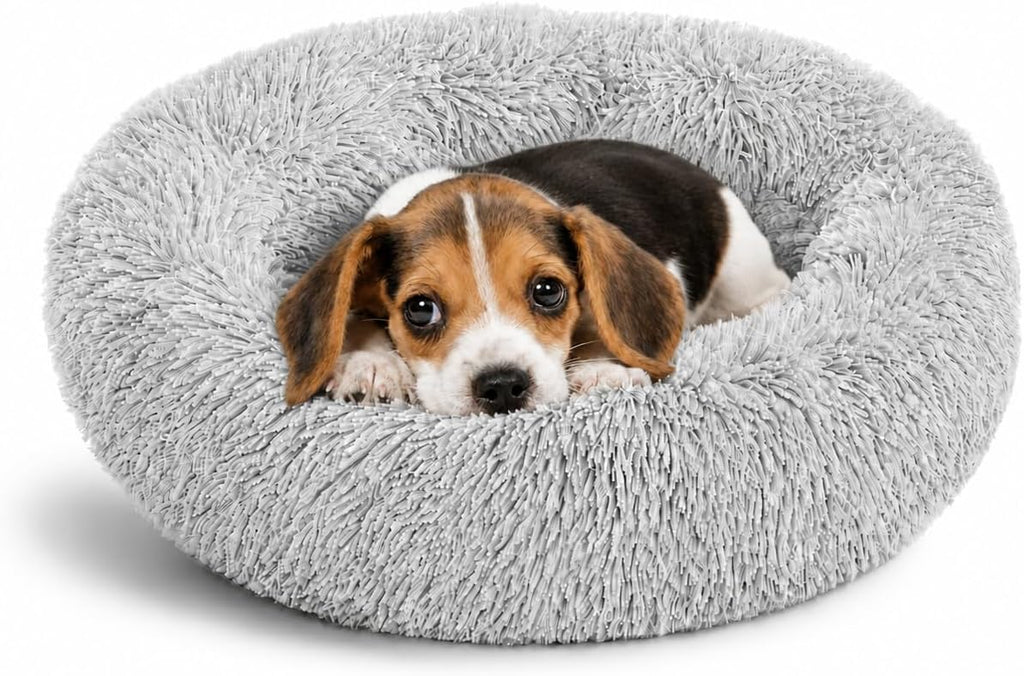 Cat Beds for Indoor Cats & Small Dog, Fluffy Cat Bed
