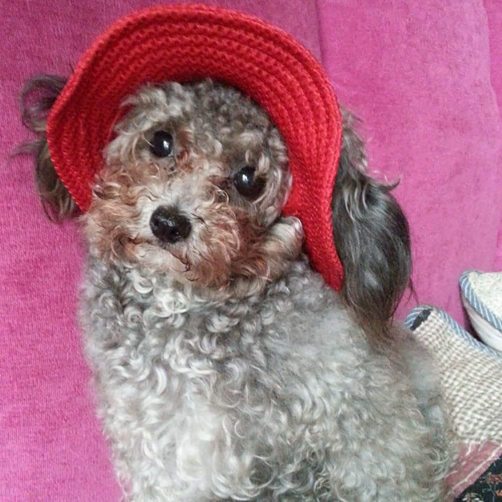 Round Brim Princess Hat Visor Hat Pet Dog Mesh Porous Sun Hat with Ear Holes for Small, Extra Small Dog Teddy, Pug, Chih