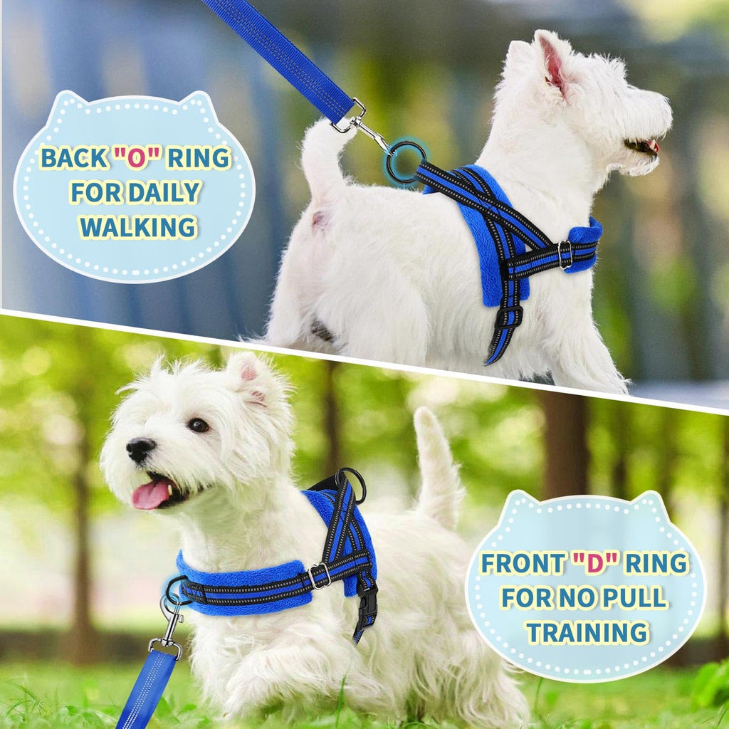 Lukovee Small Dog Harness and Leash Set, No Pull Soft Padded, 4ft Leash, XS