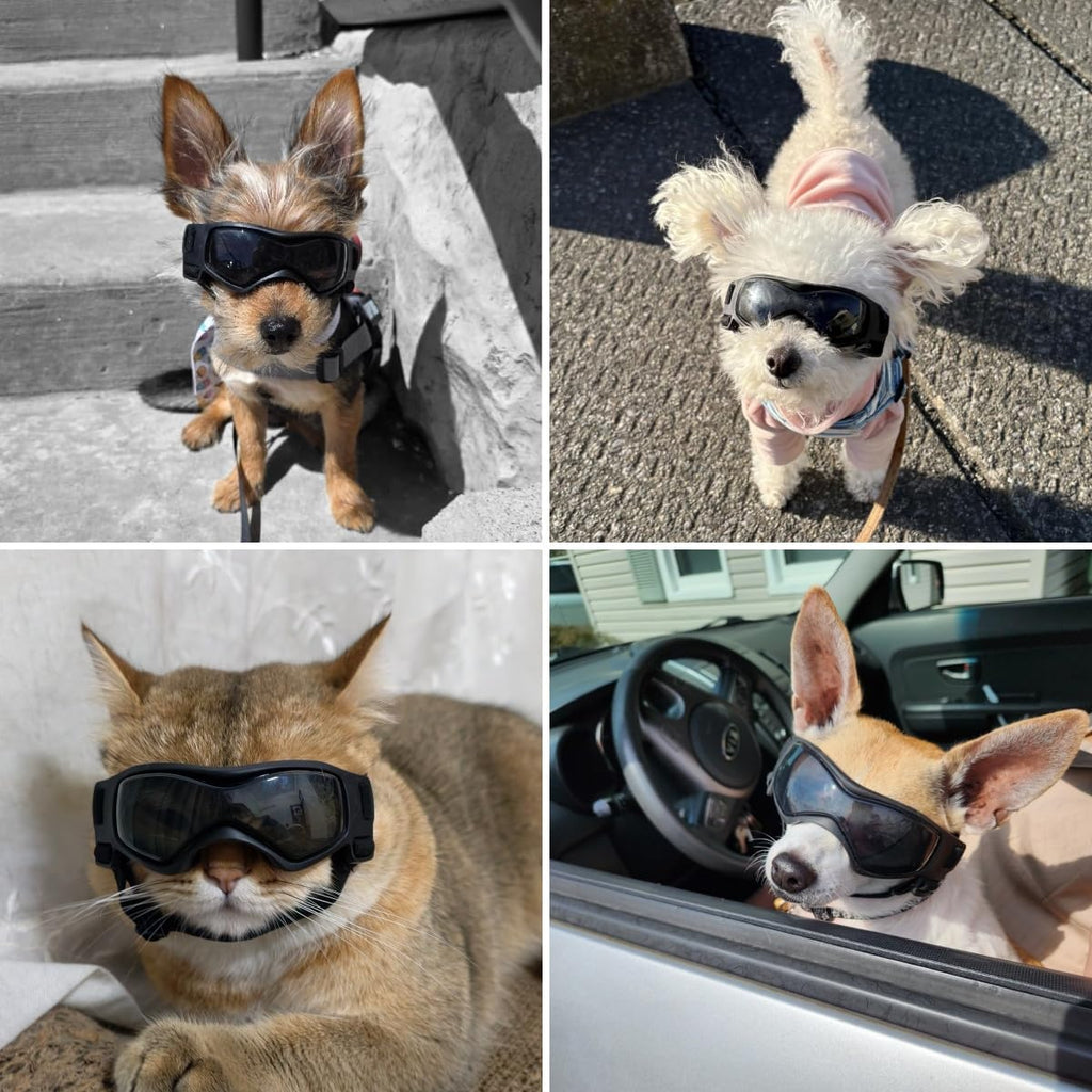 Dog Goggles Small Breed, XS Dog Sunglasses Chihuahua Glasses Anti-UV Eyes Protection for XSmall Pets Tiny Dogs Cats, Bla
