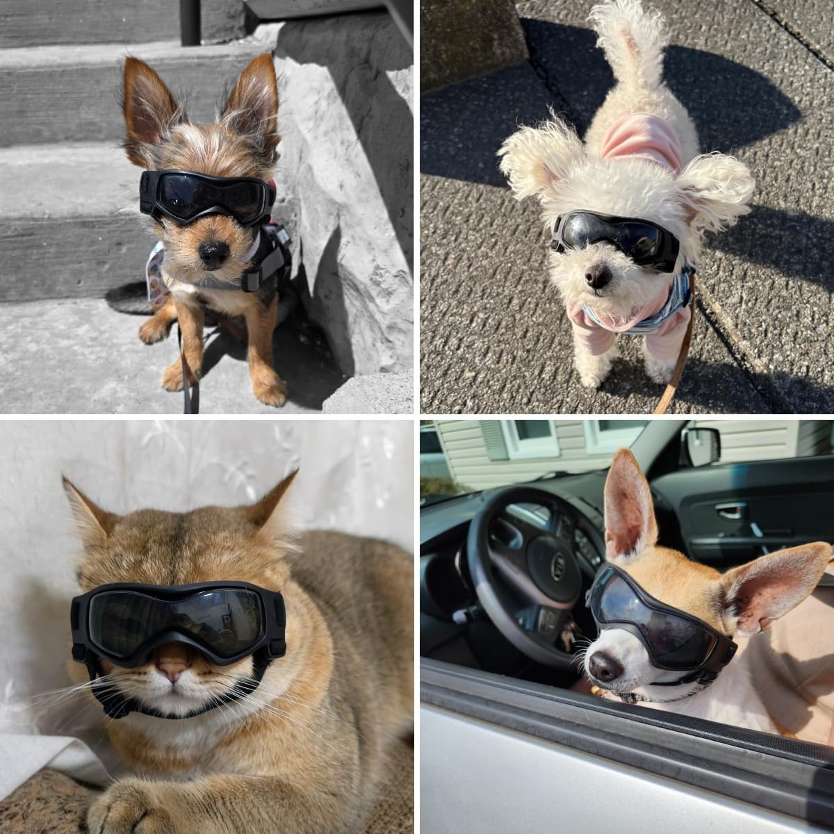 Dog Goggles Small Breed, XS Dog Sunglasses Chihuahua Glasses Anti-UV Eyes Protection for XSmall Pets Tiny Dogs Cats, Bla