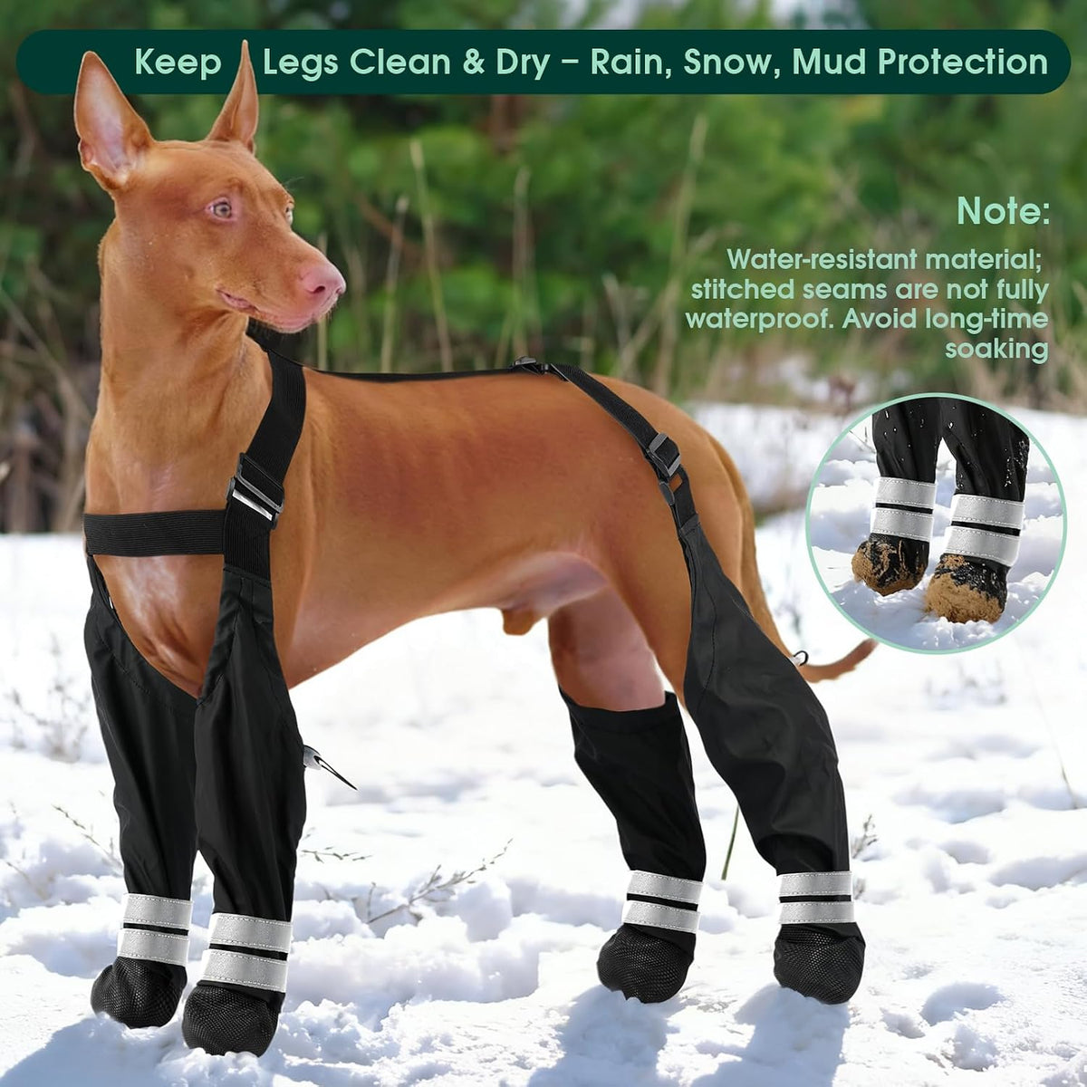 Waterproof Dog Suspender Boots, Dog Boots with Suspenders That Stay On, M