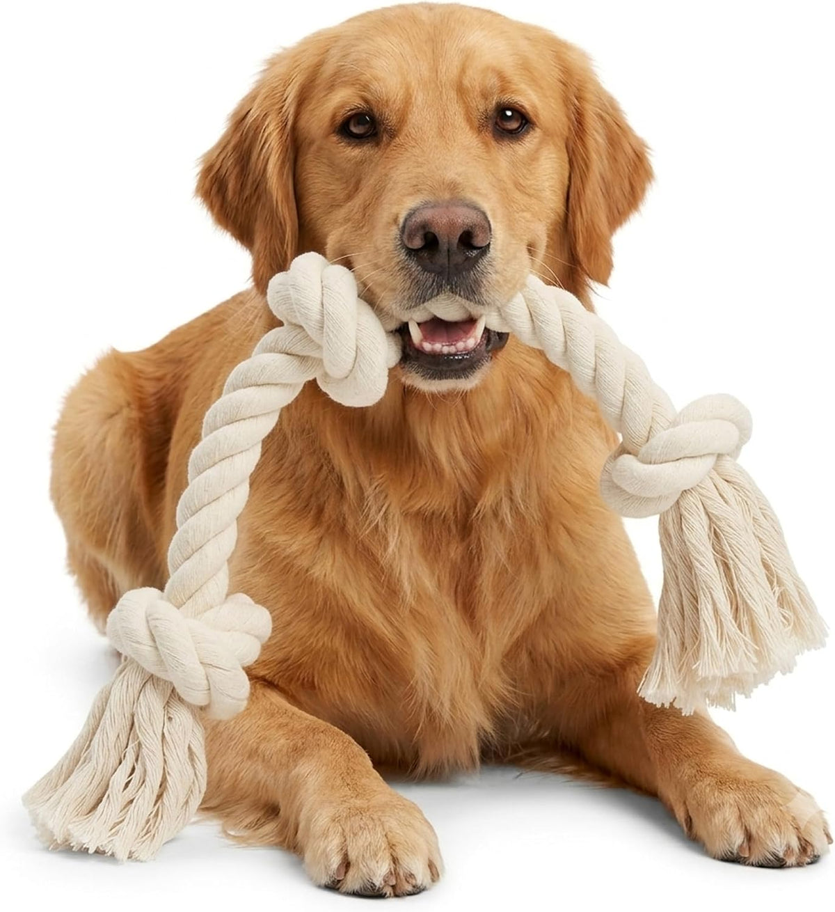 Barida Natural White Cotton Tough Dog Rope Toy for Medium & Large Dogs. Non Toxic and Premium Rope Toys for Dogs.
