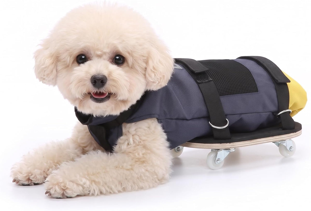 Dog Mobility Support Cart, Skateboard Wheelchair for Back Legs