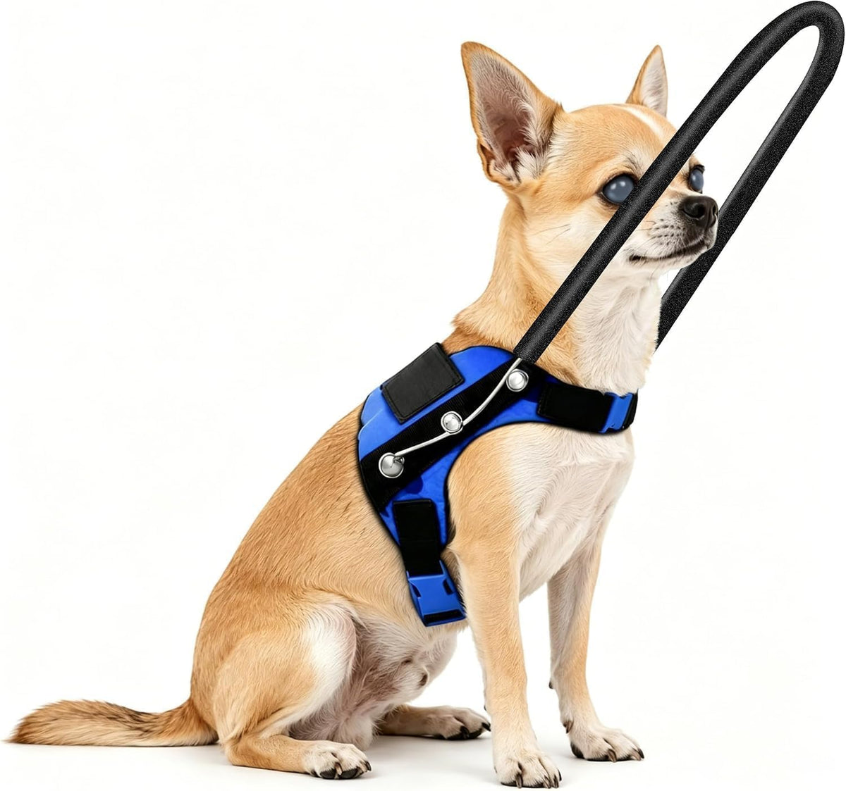 Blind Dog Halo Harness 14-18in Adjustable Anti-Collision Vest