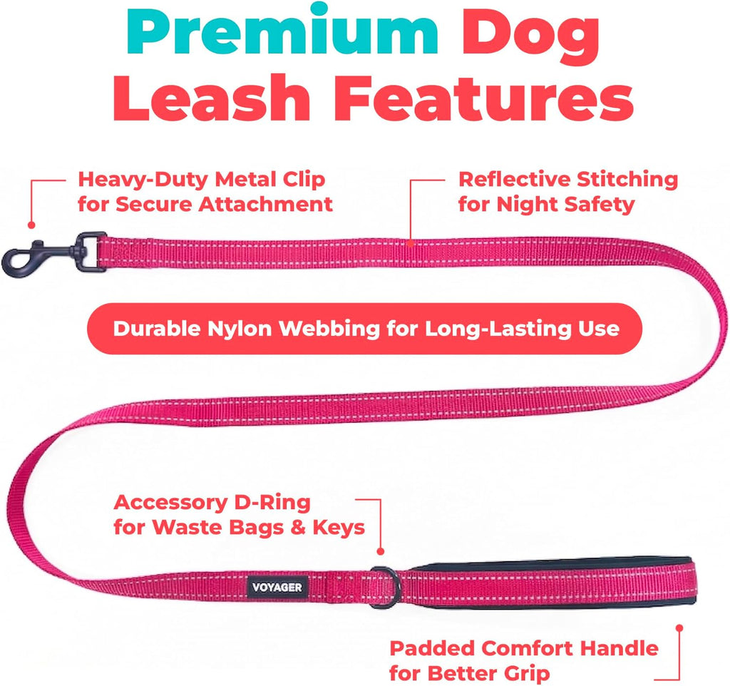 Best Pet Supplies Voyager Nylon Dog Leash - Fuchsia, Small