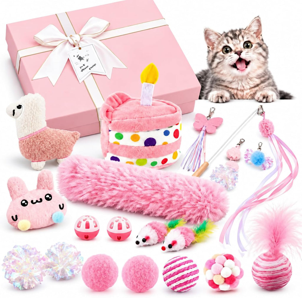 RoundFunny 19 Pcs Cat Toys Gift Box Cat Birthday Toys with Catnip & Wand