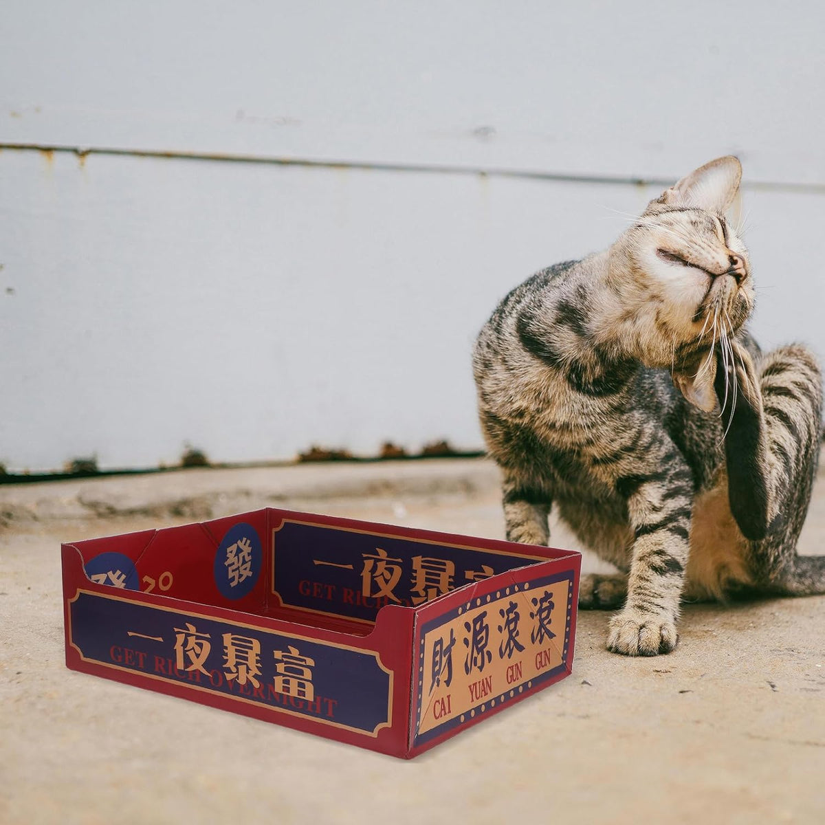 Portable Corrugated Paper Cat Litter Box Open Top Foldable Travel Tray