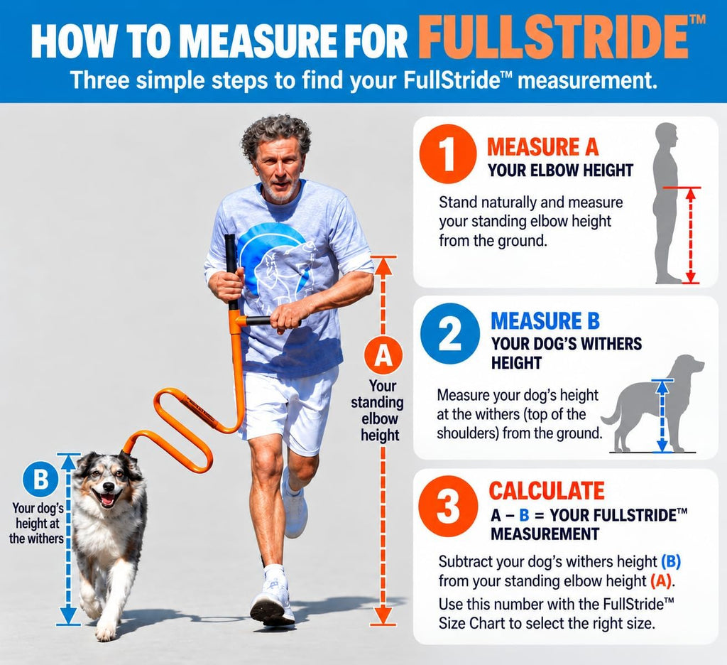FullStride Dog Exercise Leash System for Walking, Jogging and Running (FullStride M/Harness L)