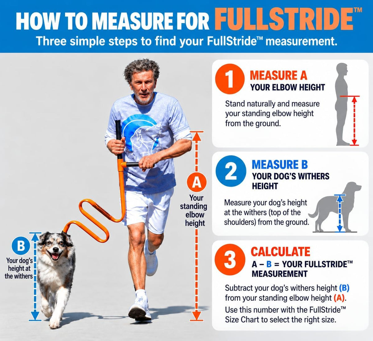 FullStride Dog Exercise Leash System for Walking, Jogging and Running (FullStride M/Harness L)