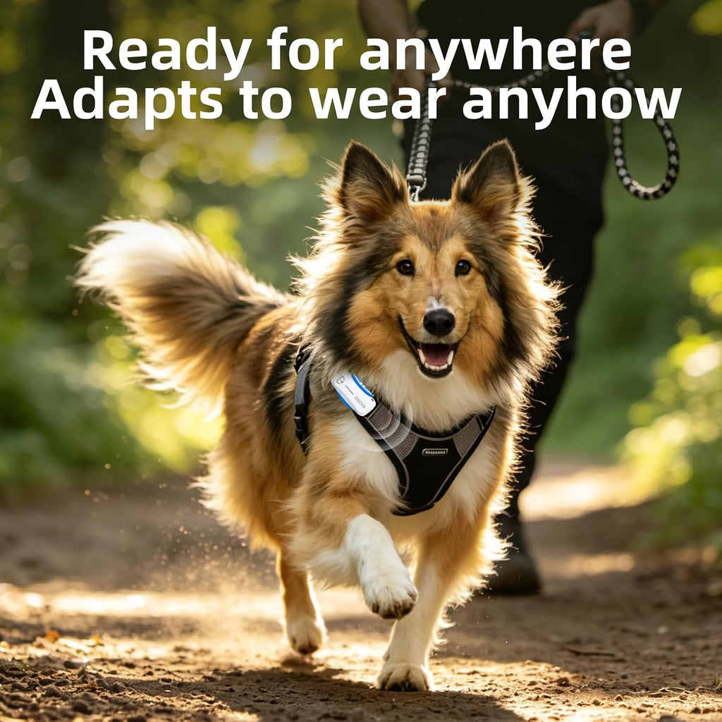 GPS Dog Tracker, Includes 40‑Day Subscription, IP67 Waterproof, White