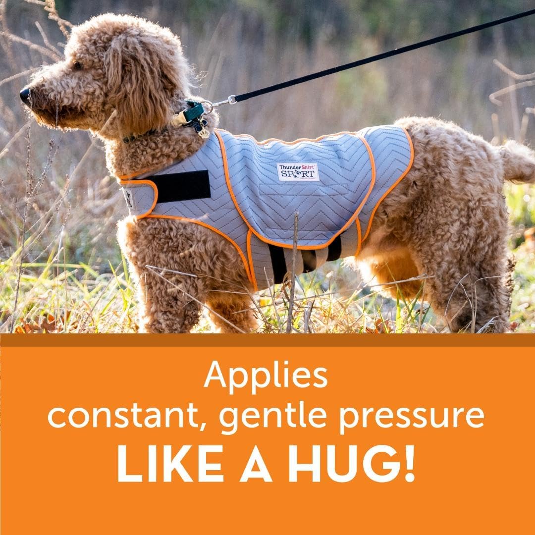 ThunderShirt for Dogs Calming Anxiety Vest, Large, Platinum Sport