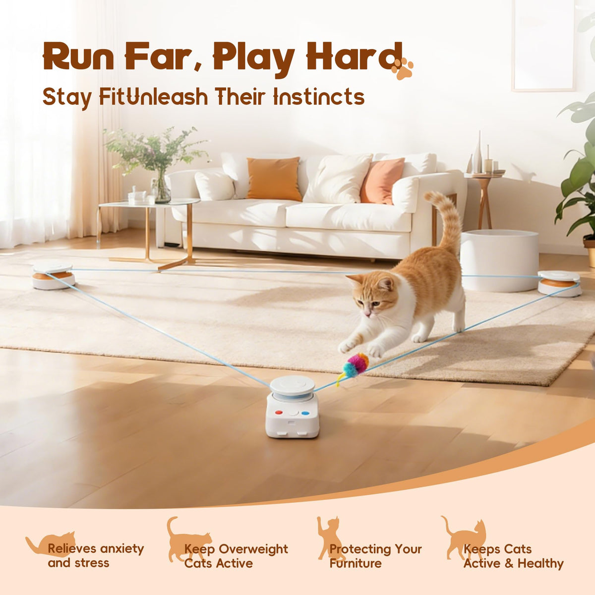 metiya Interactive Cat Toy for Indoor Cat,Automatic Treadmill for Exercise