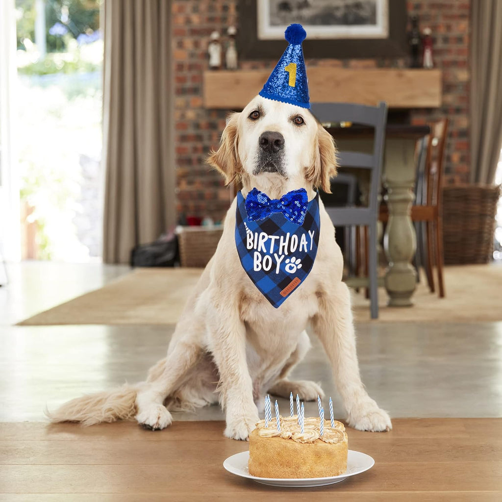 Dog Birthday Hat Bandana Set, Blue Plaid Boy Dog Bandana, X-Large