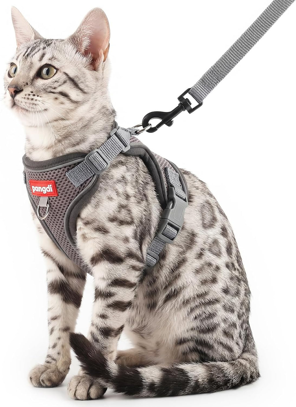 Cat Harness and Leash Set, Lightweight Air-Mesh Cat Vest, Black, XXL