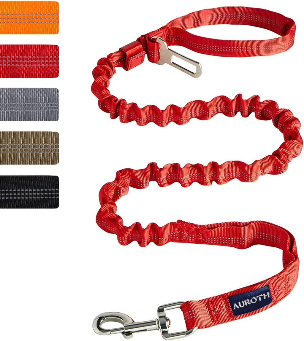 AUROTH Bungee Dog Leash for Large Dogs, No Pull for Shock Absorption