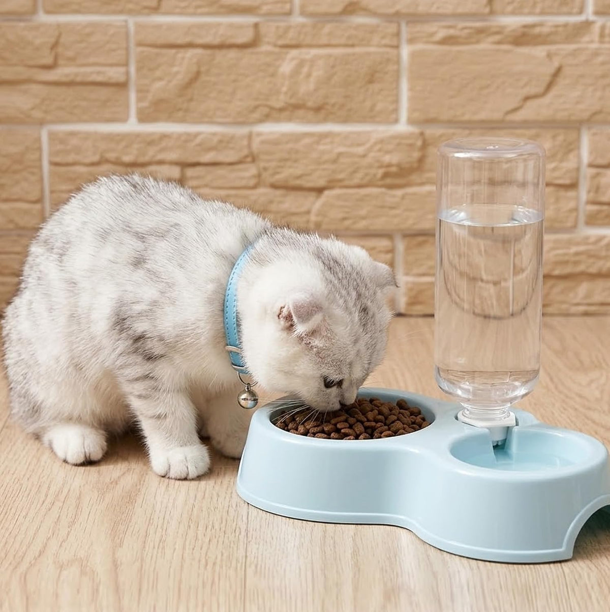 12 Pcs Kitten Starter Kit for Indoor Cats, Kitten Essentials, Blue