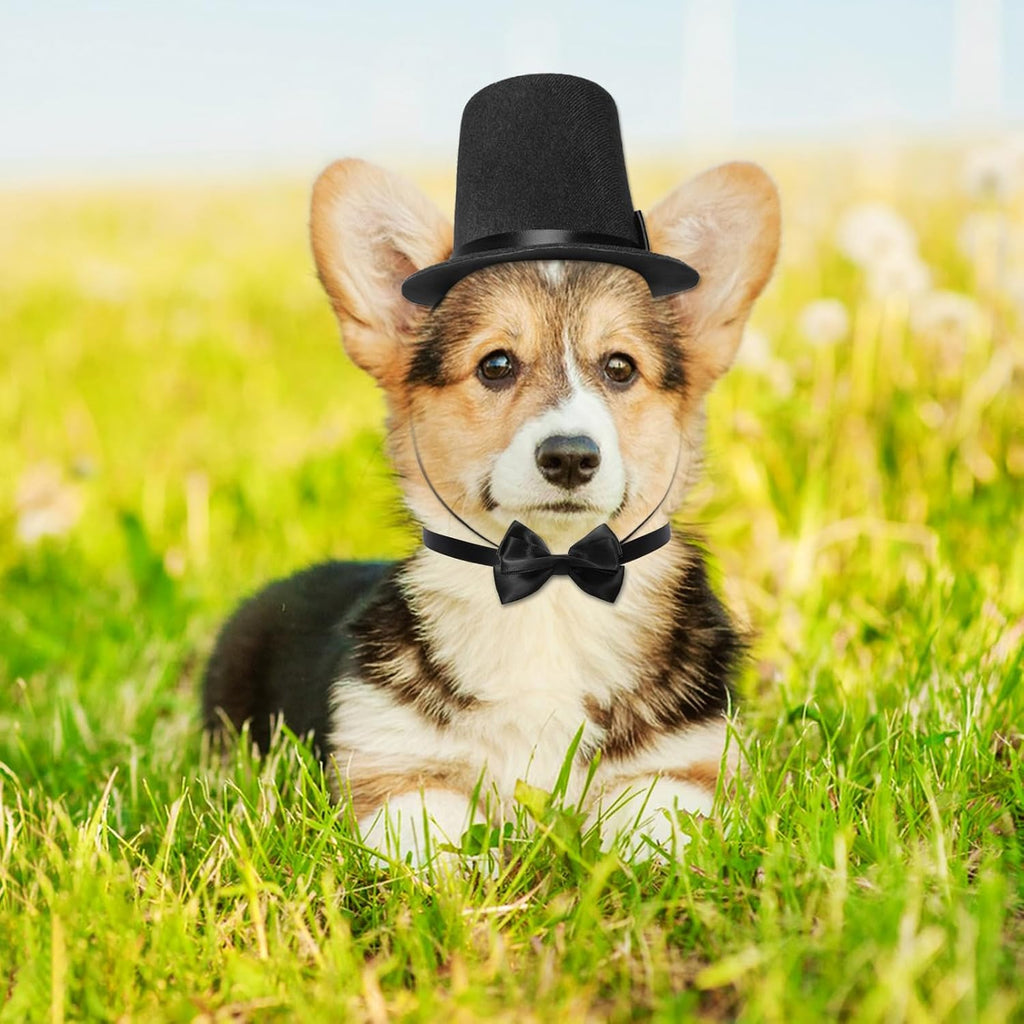 Pet Formal Accessories Set 2 Pcs Dog Costume Top Hat with Formal Pet Tuxedo Bowtie/Necktie Birthday Party Halloween Grad