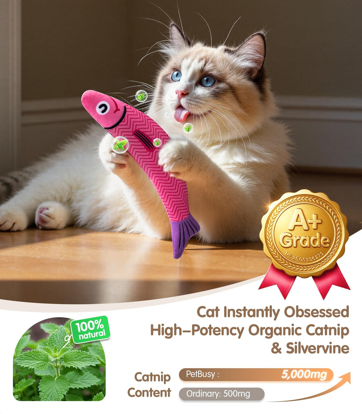 PetBusy Cat Toys with [5000 mg A+Natural Catnip & Silvervine] Kicker Fun