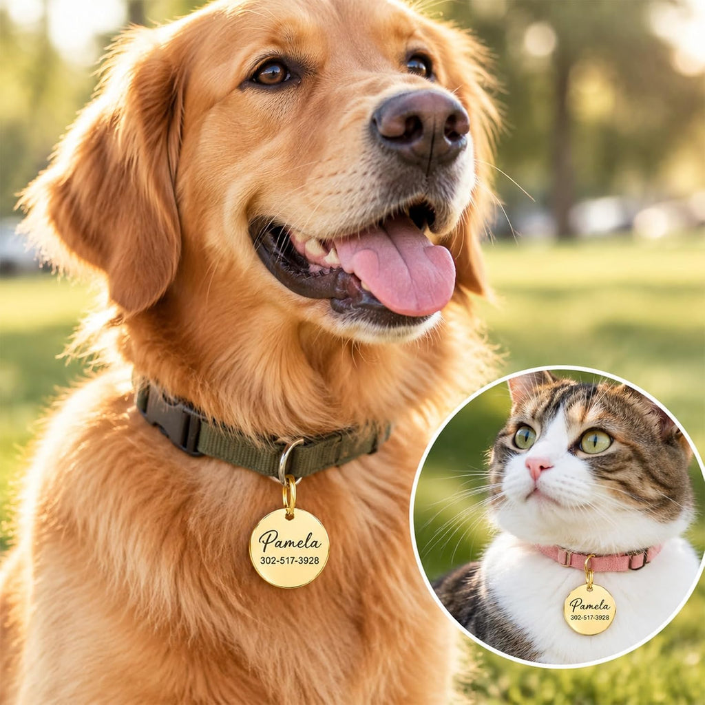 Pet ID Tags, Personalized Dog Tags and Cat Tags with Any Name and Number