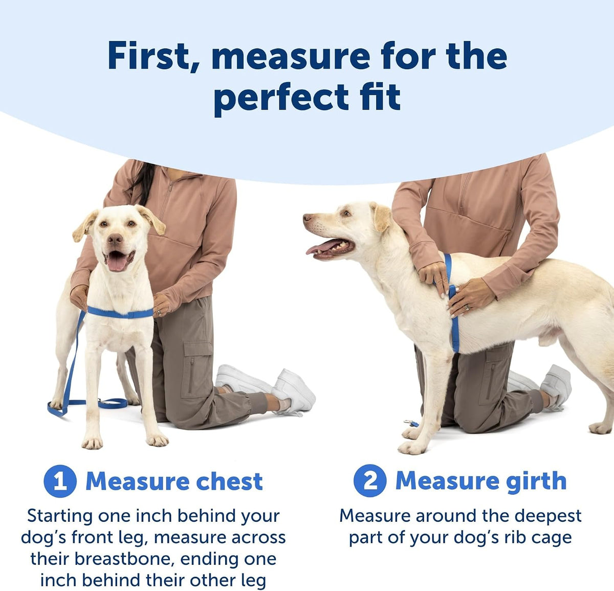 PetSafe Easy Walk Harness, No Pull Dog Harness, Raspberry, Medium/Large