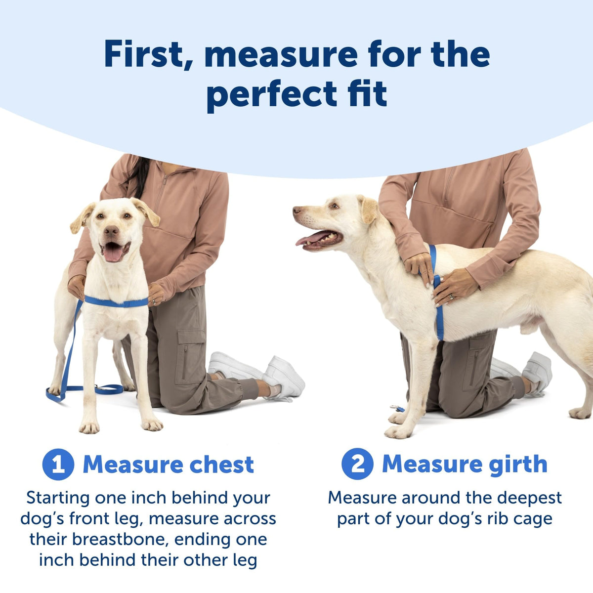 PetSafe Easy Walk Harness, No Pull Dog Harness, Black, Medium