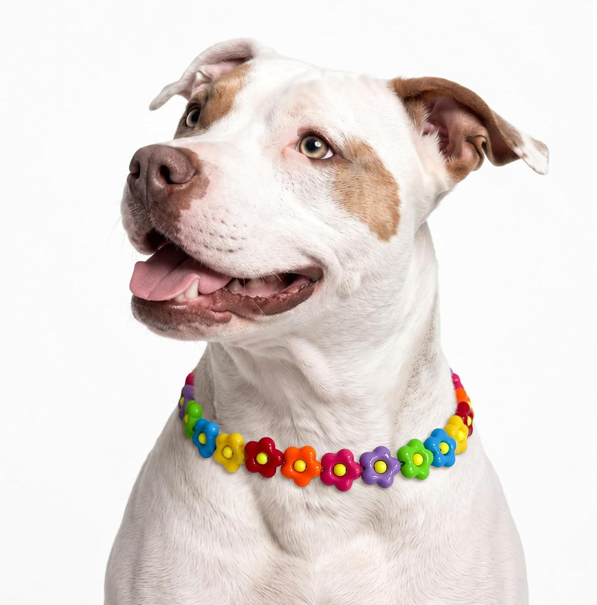 Vibrant Flower Beaded Dog Necklace, Adjustable Fashion Pet Jewelry