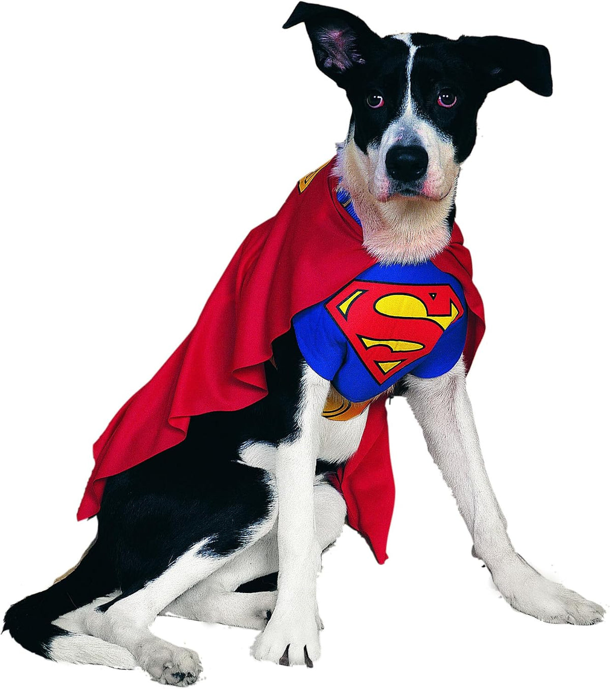 Rubies DC Comics Superheroes: Superman Pet Costume for Dogs or Cats, Medium