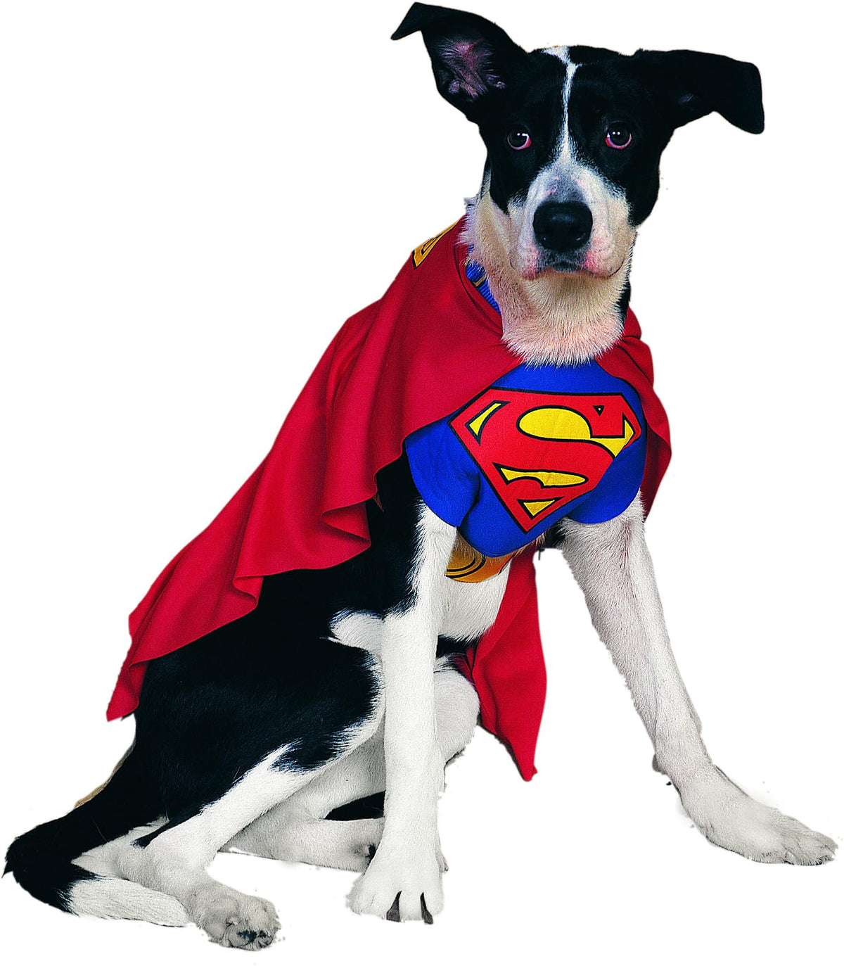 DC Comics Superheroes: Superman Pet Costume for For Dogs or Cats by Rubies, Large