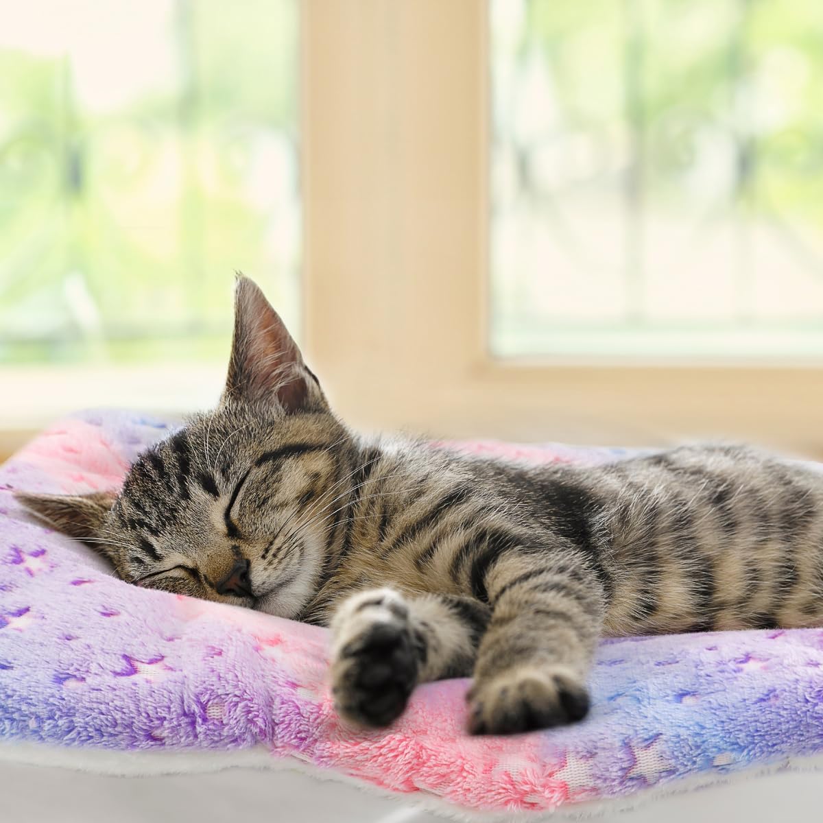 2 Pack Cat Blanket for Indoor Cat, Warm Calming Kitten Beds