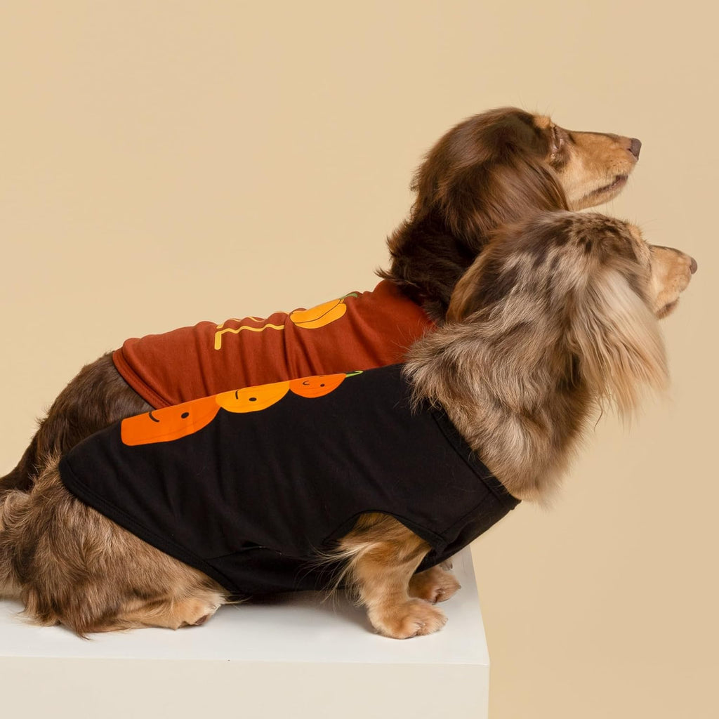 Fitwarm Thanksgiving Triple Pumpkins Dog Shirt, Fall Dog Clothes for Small Dogs Boy Girl, Funny Doggy Tshirt, Pet Outfit