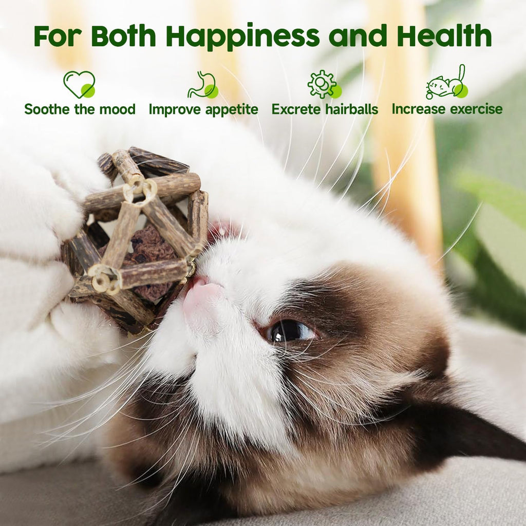 Potaroma Catnip Toys, 3Pcs Cat Toys Natural Silvervine Stick Cage Balls & Bell Ball for Indoor Cats, Kitten Cleaning Tee