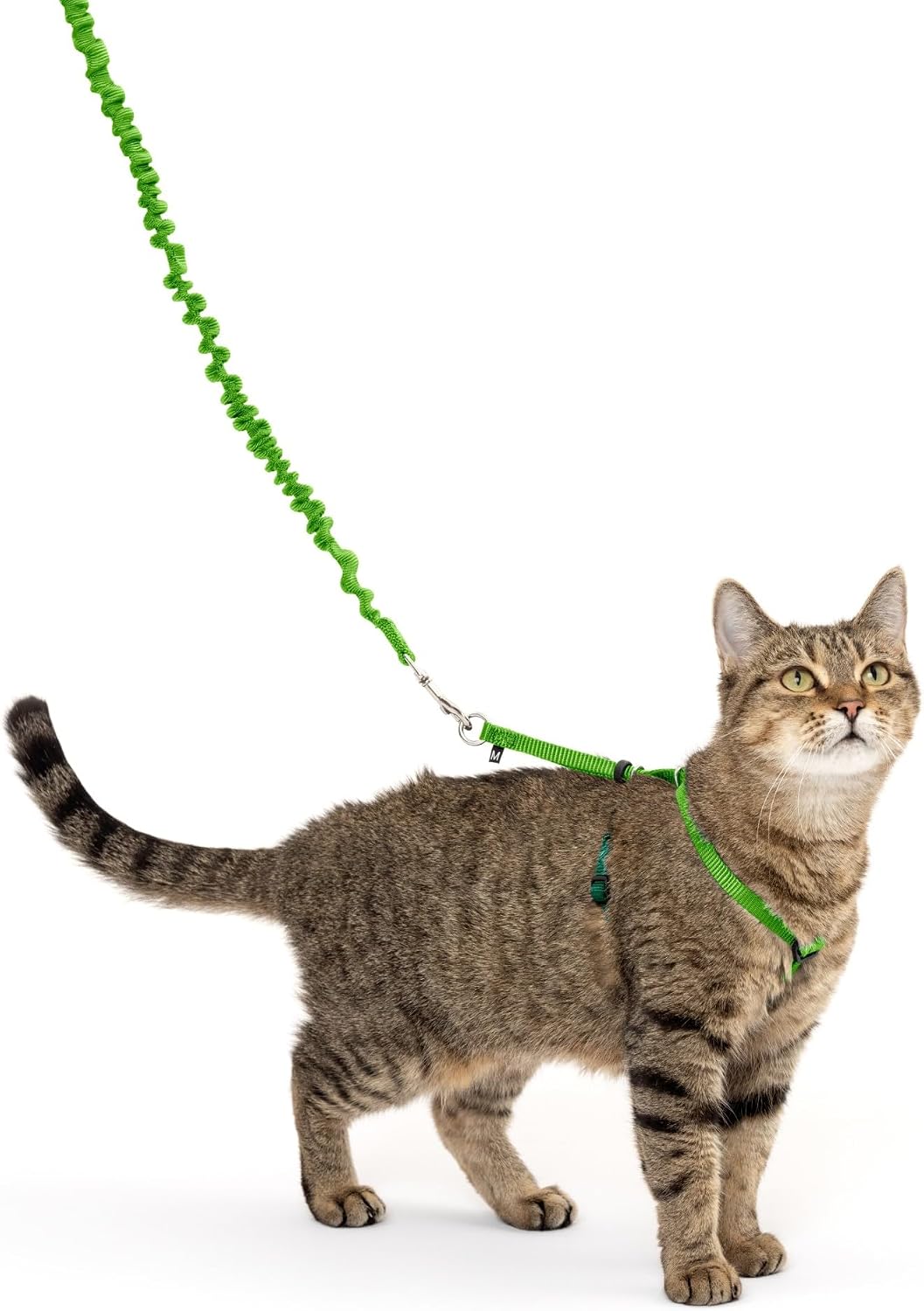 PetSafe Come With Me Kitty Harness and Bungee Leash, Harness for Cats, Medium, Black/Silver, CWMK-M-BLK
