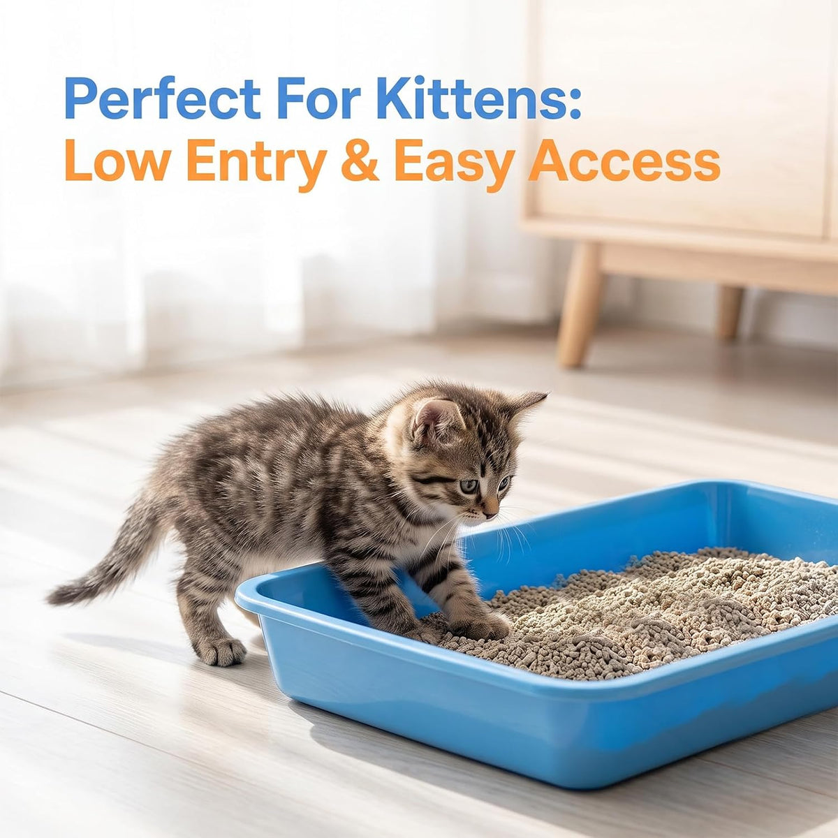 6 Pack Small Kitten Litter Box 1.6 inch Low Entry Litter Box with Scooper