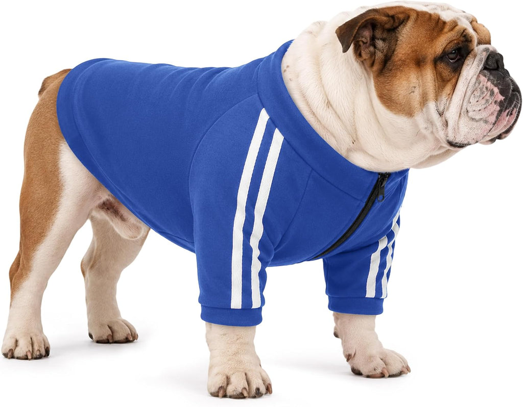 Bulldog Sweatshirt for Broad-Chested Dogs, Black, L