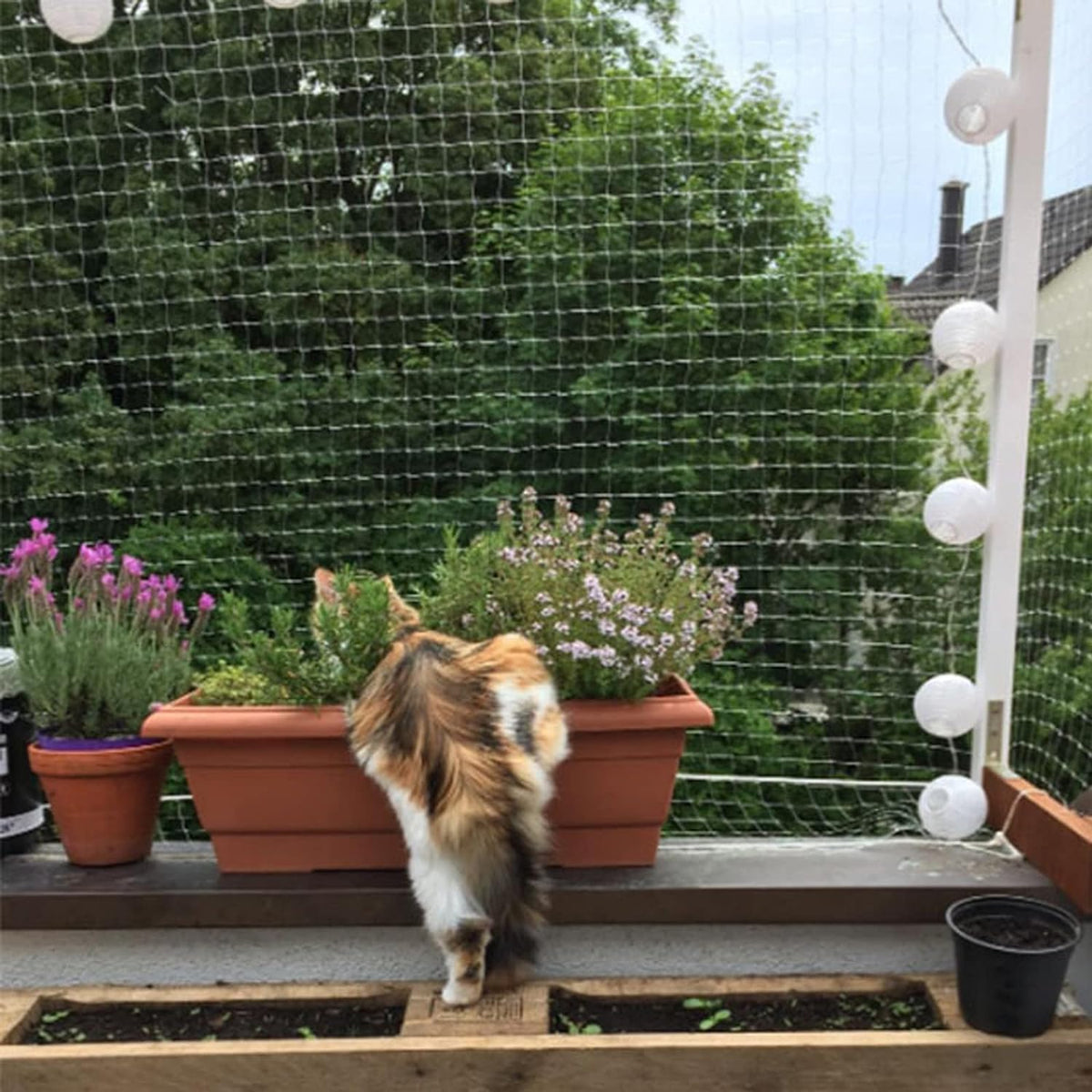 Cat Balcony Net Cat Anti-Fall Fence Net Dog Fence Nets Transparent Nylon Pet Mesh Fence Anti-Fall Netting for Balcony Wi