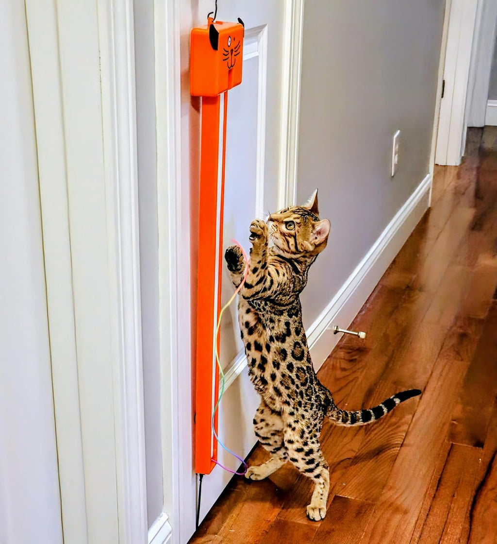 Moody Pet Interactive Cat Toy for Indoor Cats – Fling-AMA-String Automatic, Moving, Flying String Toy for Cats – Battery