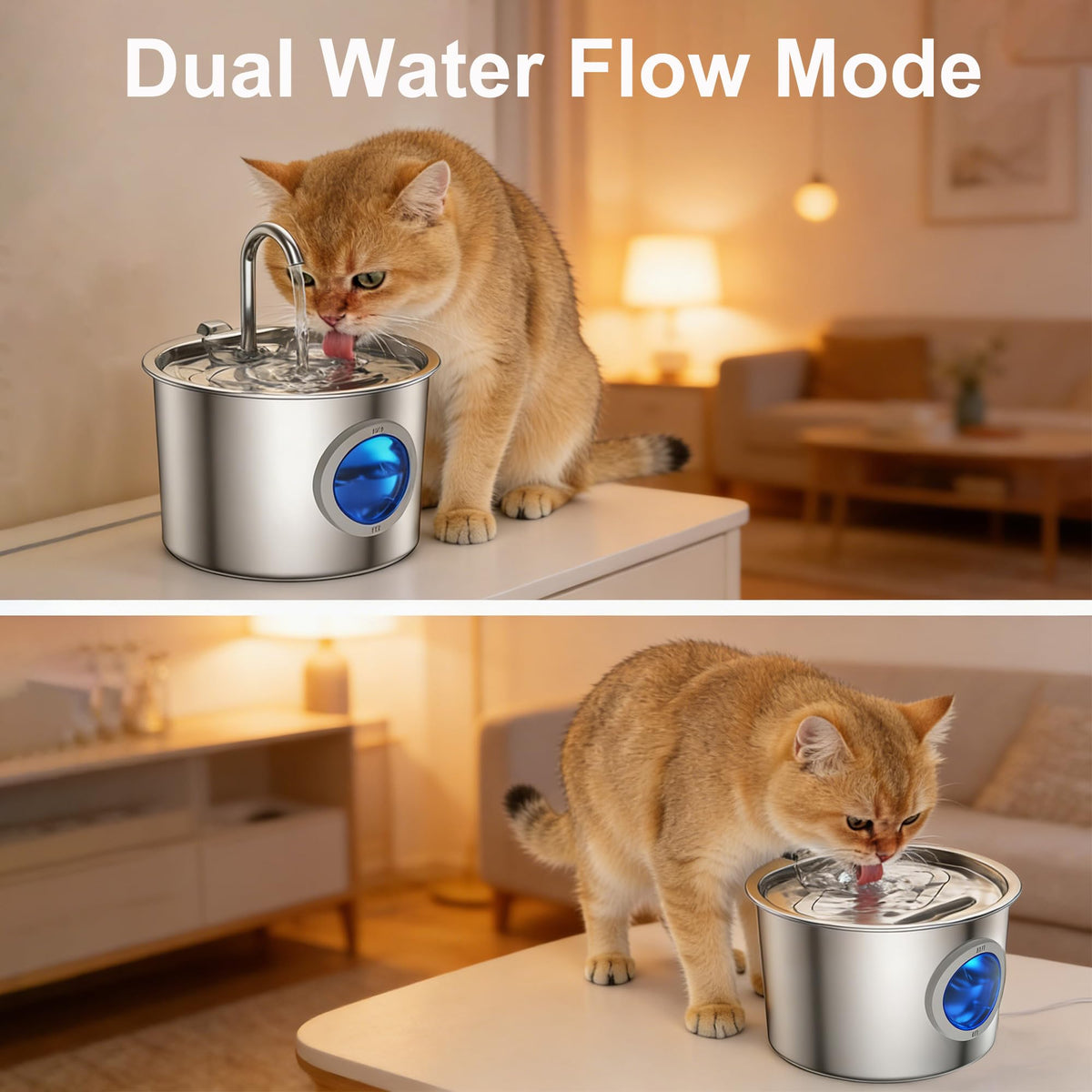 Cat Water Fountain Stainless Steel, Hygienic Drinking Fountain for Cats