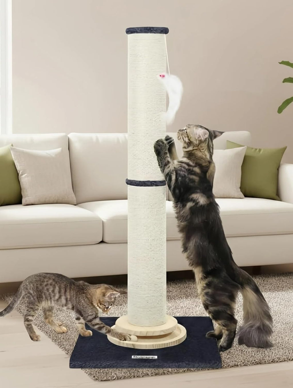 Globlazer 39in Cat Scratching Post for Indoor Cats Adults and Kittens, SC39