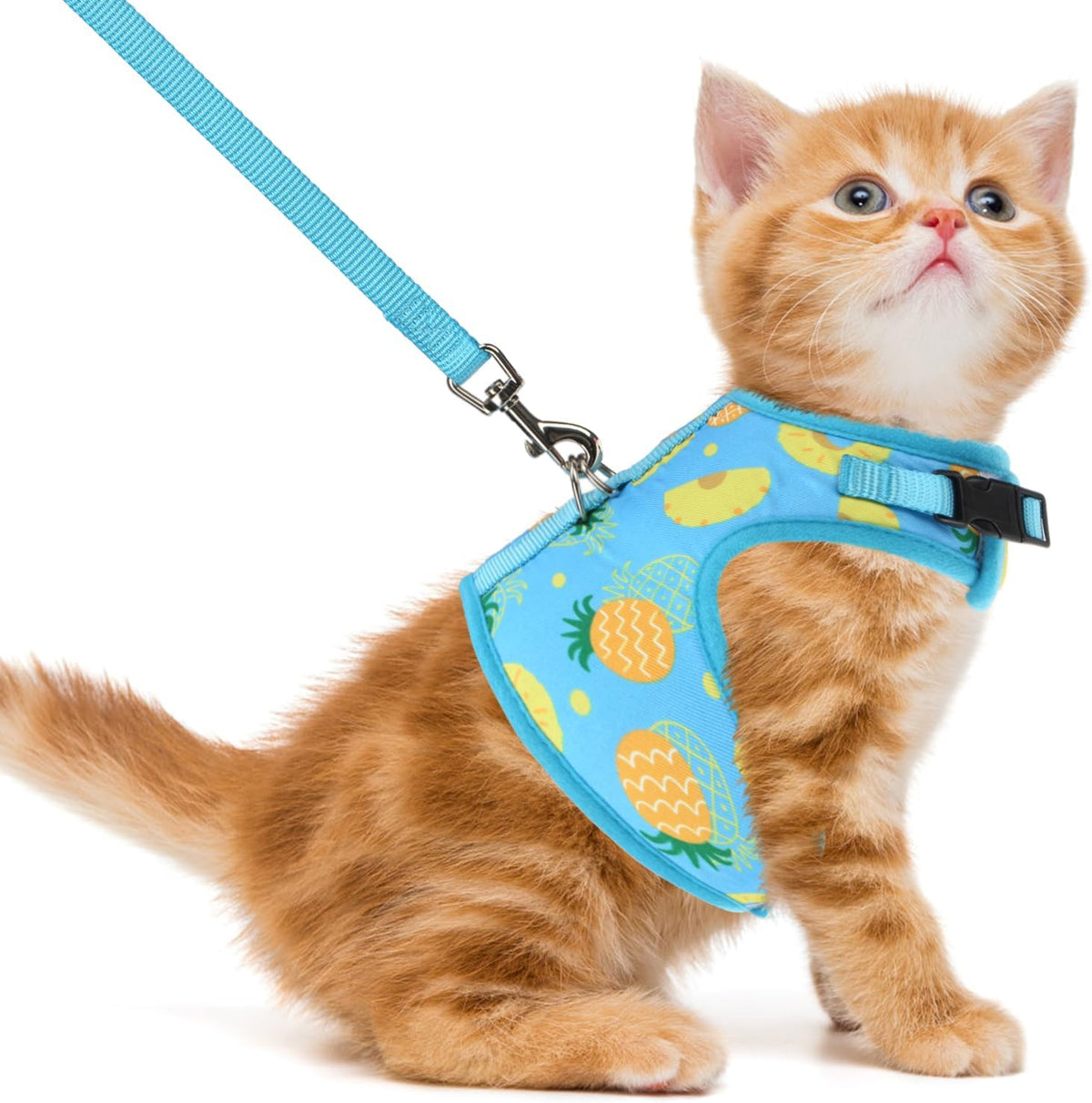 PUPTECK Soft Mesh Cat Vest Harness and Leash Set Puppy Padded Pet Harnesses Escape Proof for Cats Small Dogs Rabbits Bun