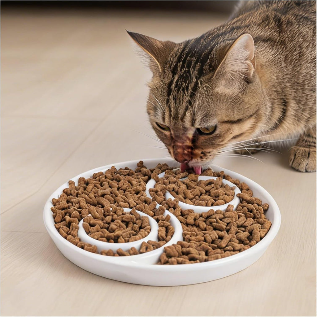 Ceramic Cat Slow Feeder,Shallow and Wide Opening Dish for Whisker Friendly