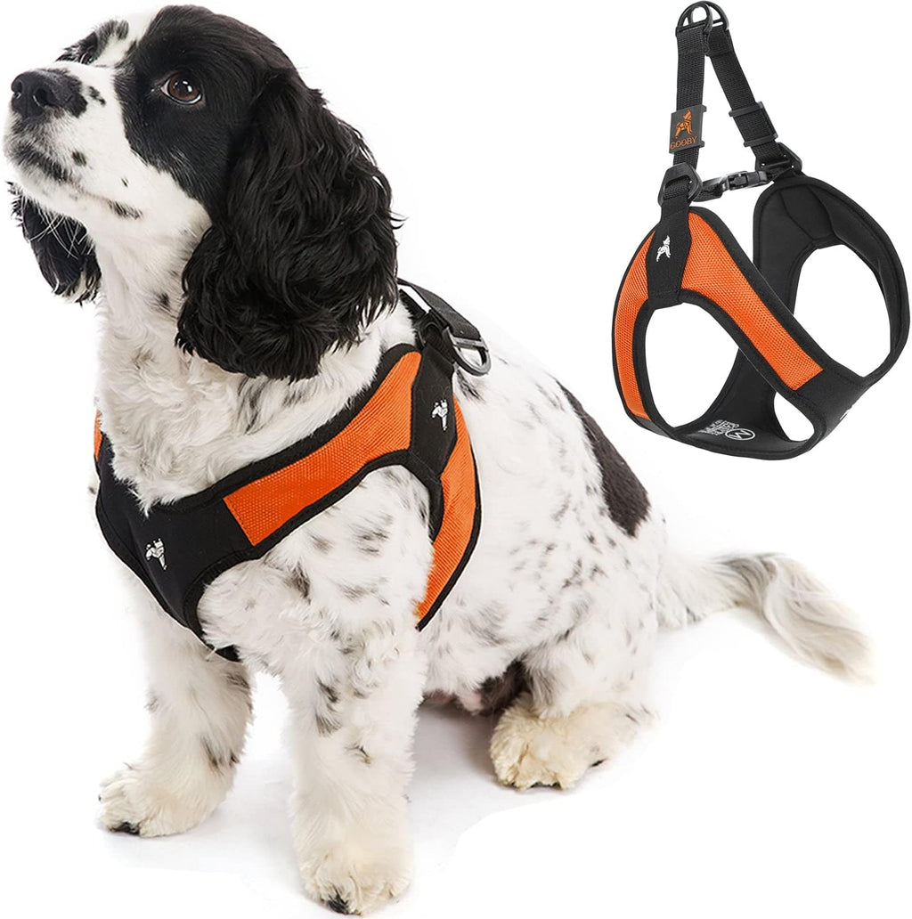 Gooby Escape Free Easy Fit Dog Harness, Step-in, Turquoise, Small