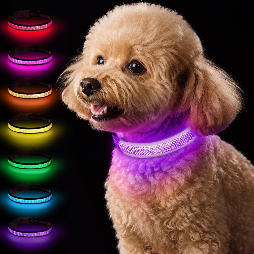 Taglory Light Up Dog Collar for Night Walking, LED Rechargeable, Hot Pink M
